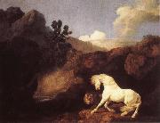 George Stubbs Hasta who become skramd of a lion oil painting